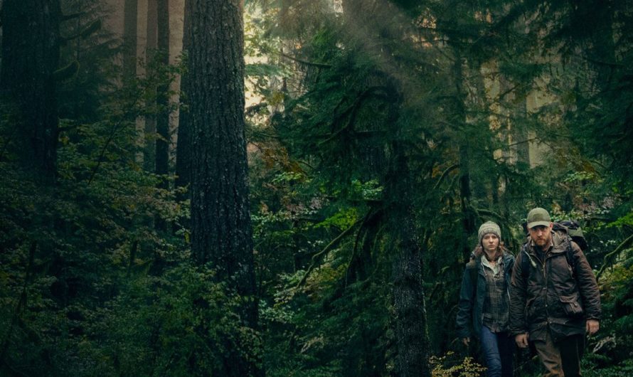 Elas fora do Oscar | 10 filmes dirigidos por mulheres que poderiam ter entrado no Oscar