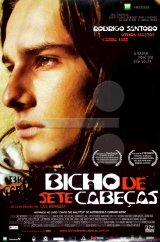 Cartaz do filme Bicho de sete cabeças