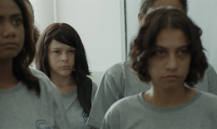 Valentina: representação e representatividade trans