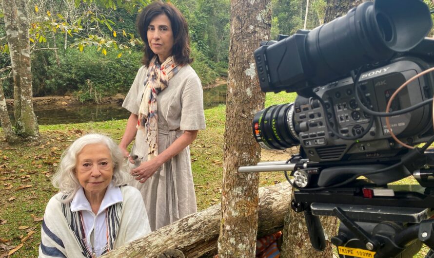 Amor e sorte: reencontros na pandemia