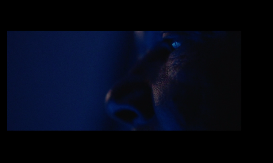 O que as mulheres gritam na pandemia? | Silêncio, de Bruna Carolli